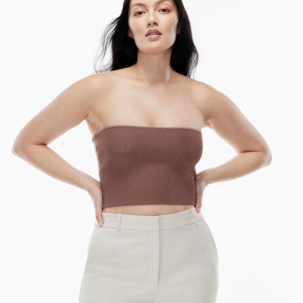 Babaton Aritizia Ribbed‎ Mocha Brown Tube Top XXS